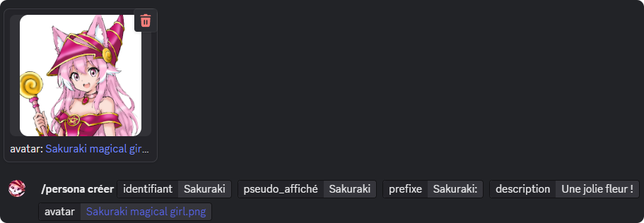 Création d'un persona avec toutes ses options